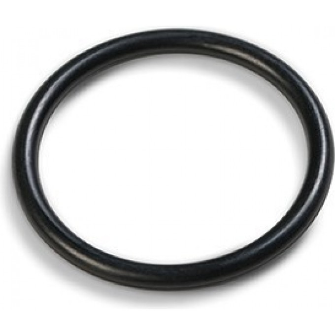 Уплотнительное кольцо INTEX 10712